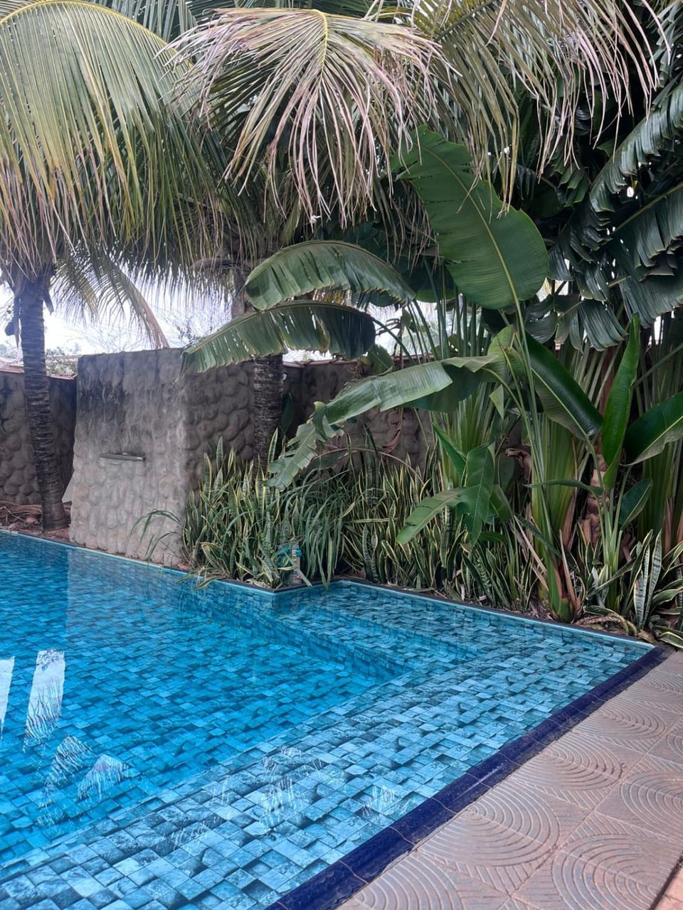 Spa and wellness centre/facilities, Swimming pool, Swimming pool