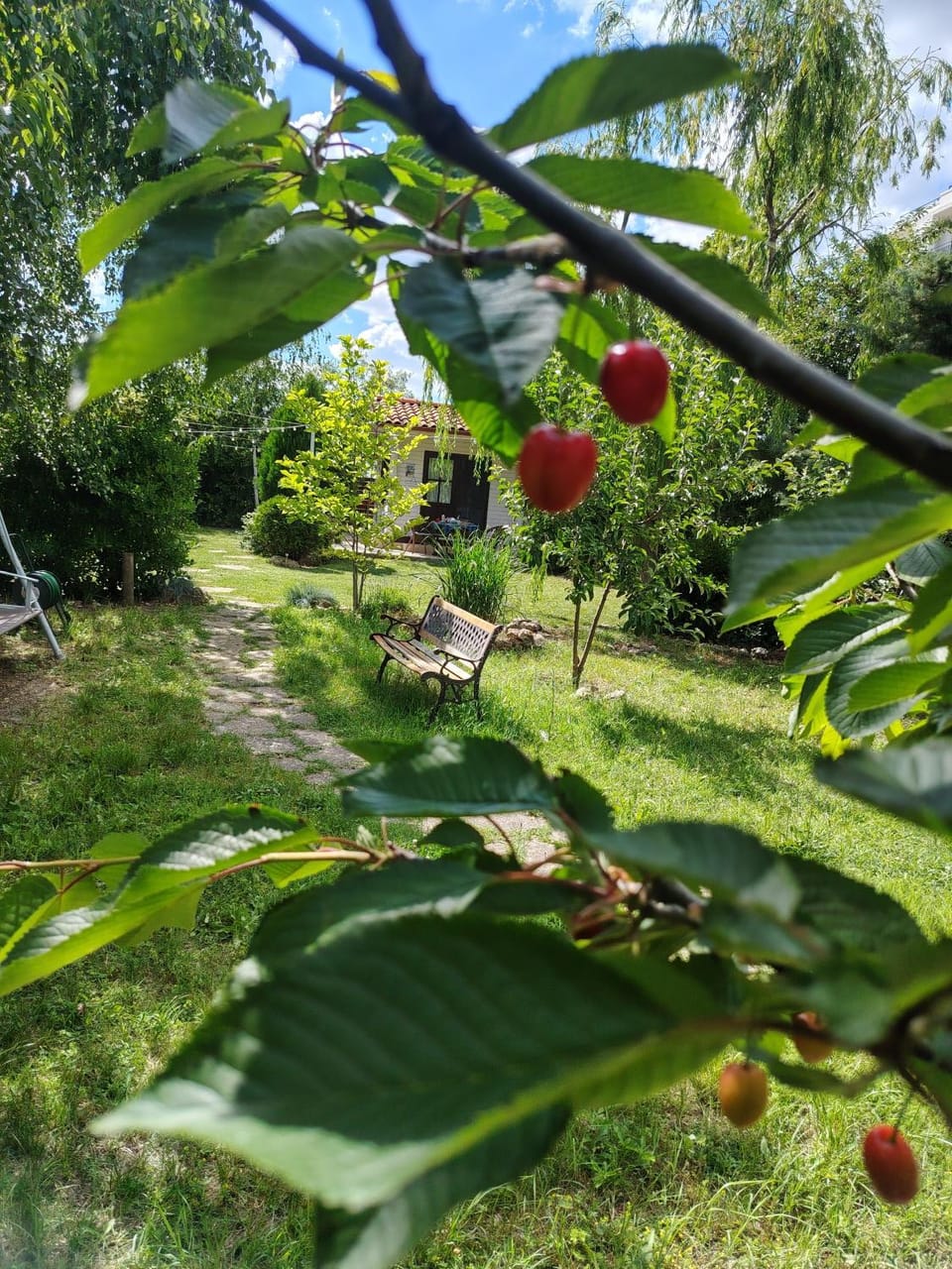 La Casuța - 500sqm garden theseaside Chalet in Constanța County