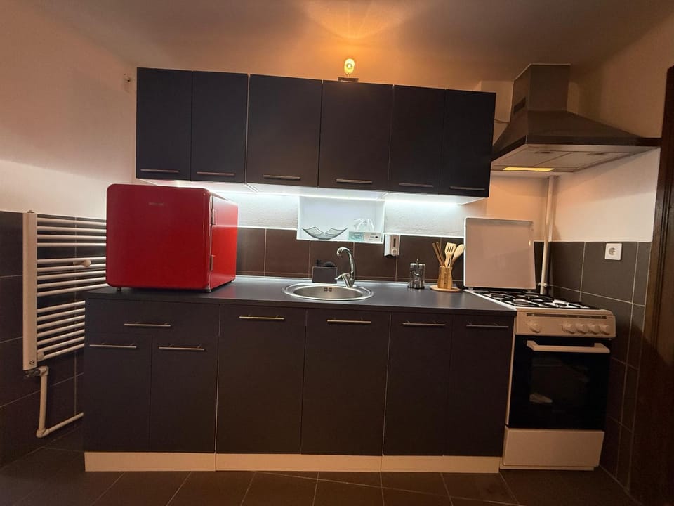 Felinarului 6 Studioul Albastru Apartment in Sibiu