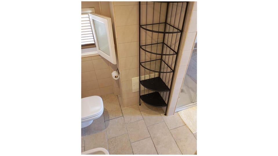 Shower, Toilet, Bathroom, bidet