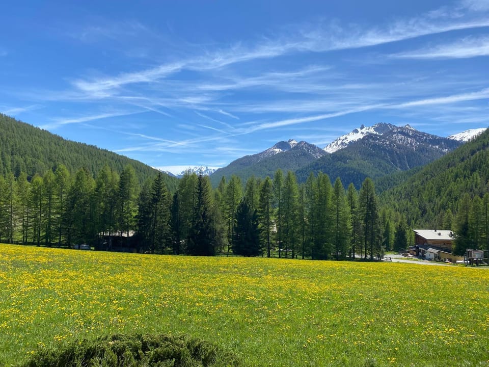 Spring, Day, Natural landscape, View (from property/room), Mountain view