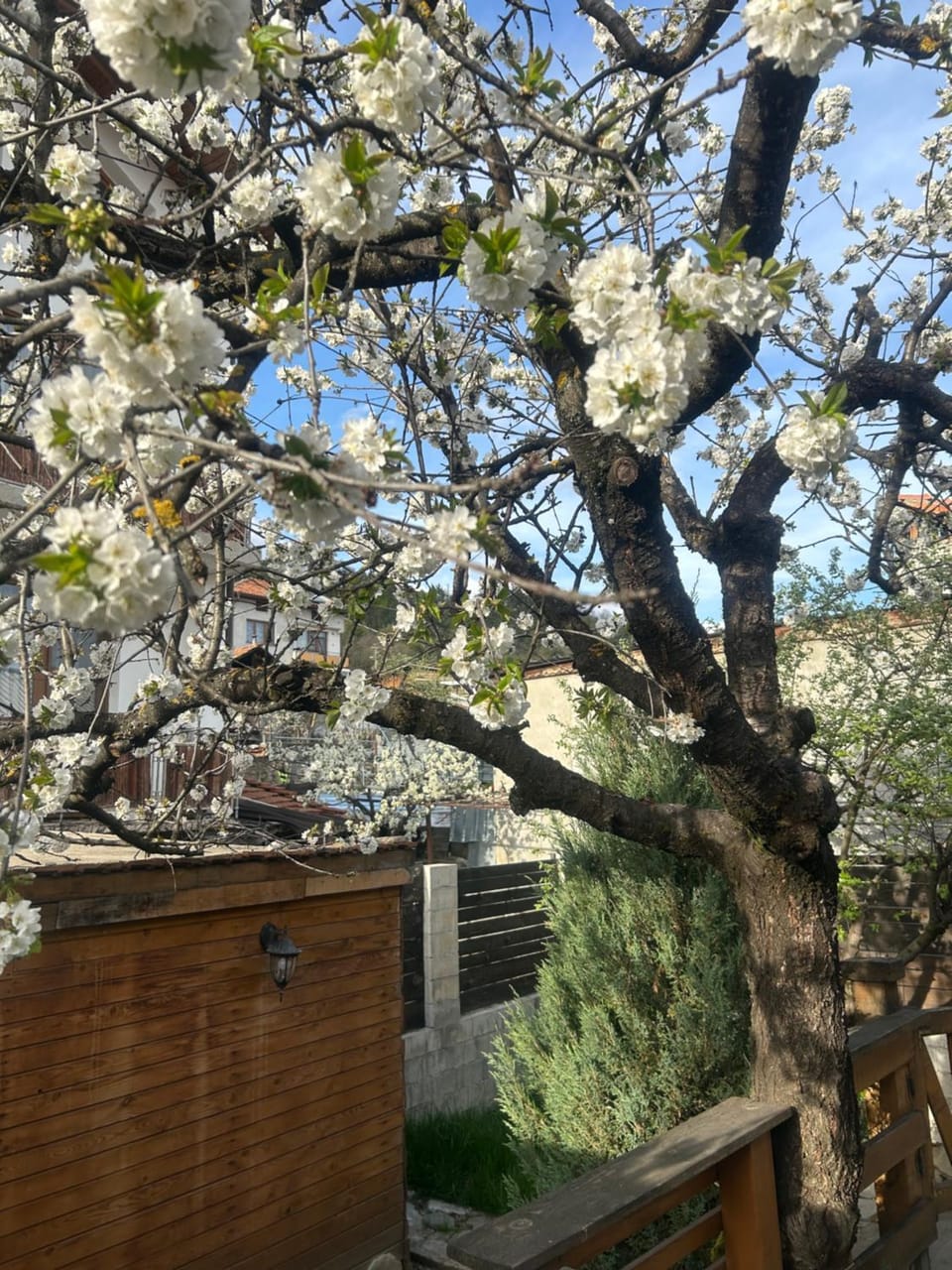 The Old Cherry House House in Blagoevgrad Province