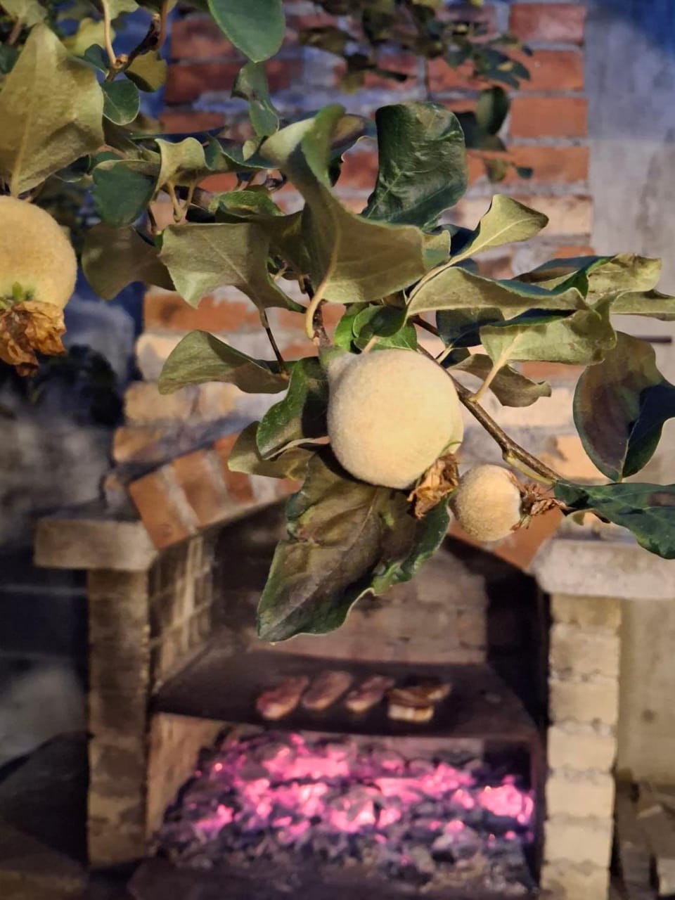 The Old Cherry House House in Blagoevgrad Province