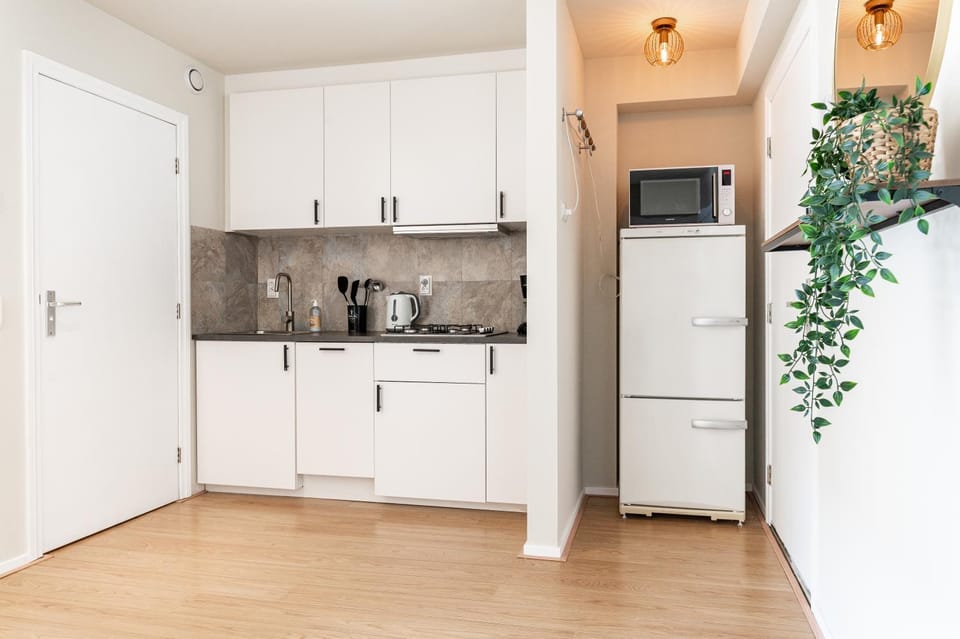 Kitchen or kitchenette, dishwasher, stove