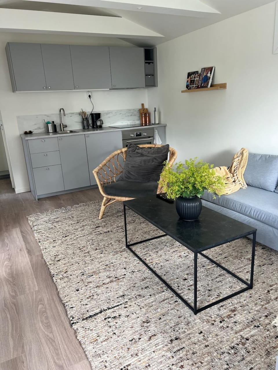 Kitchen or kitchenette, Living room