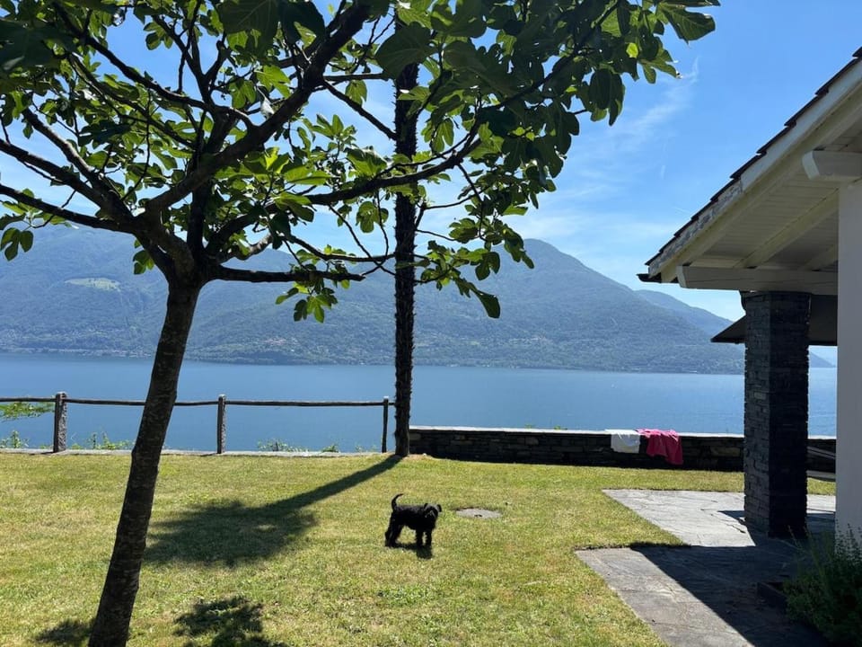 Lake view