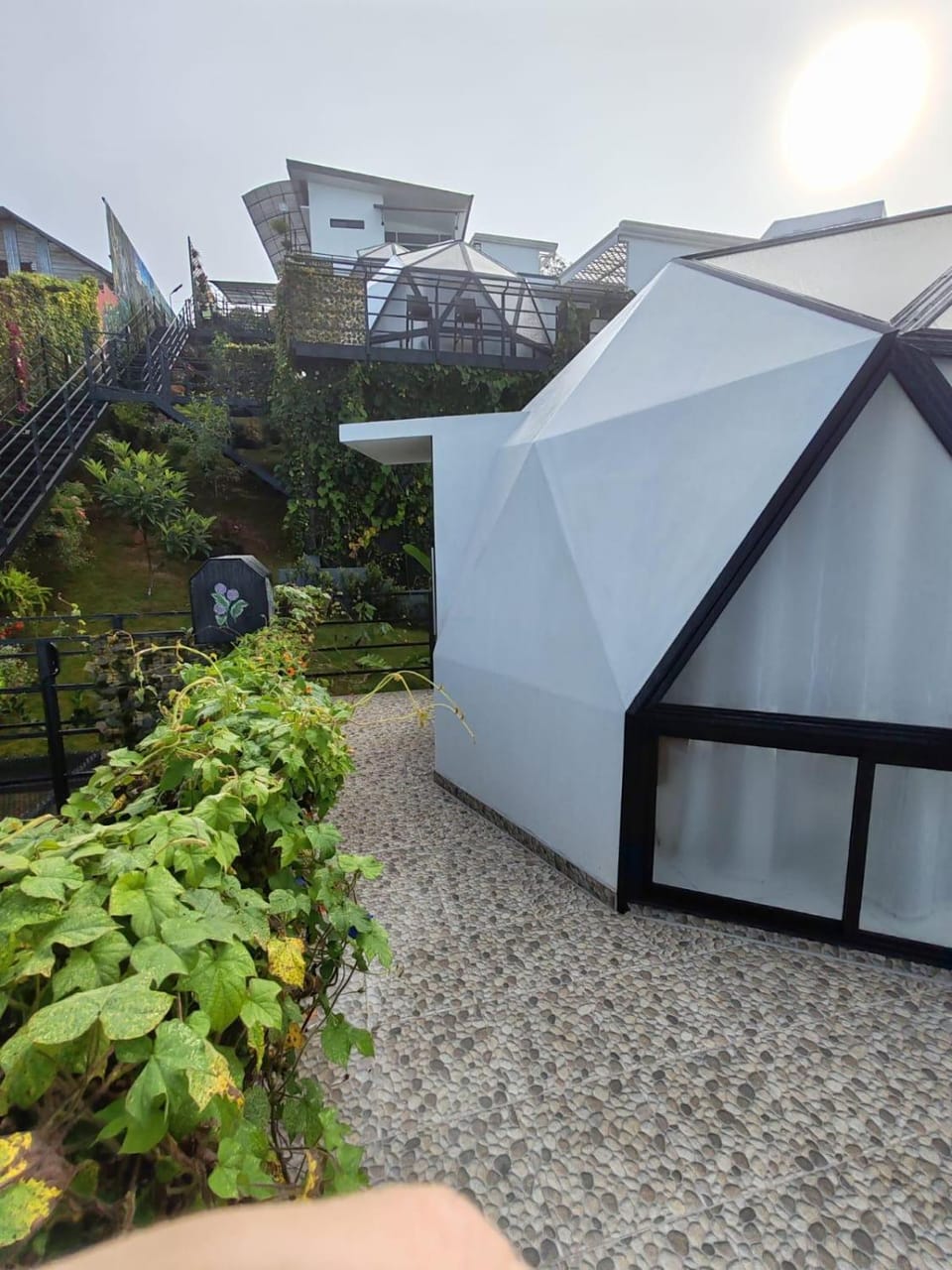 Property building, Garden, Garden view