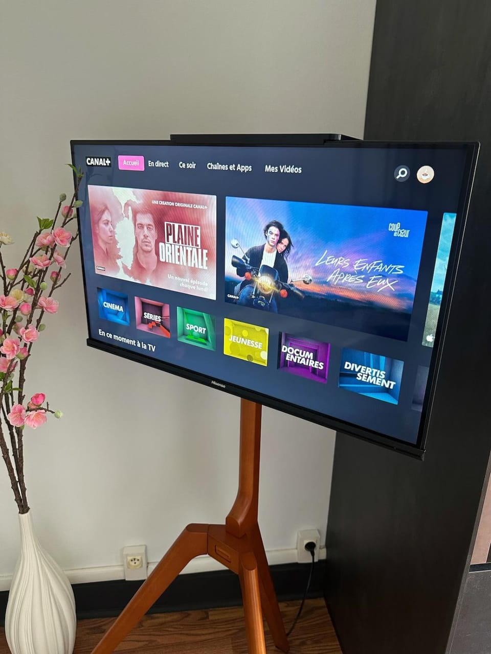 Studio cosy - Le cerisier Apartment in Valence