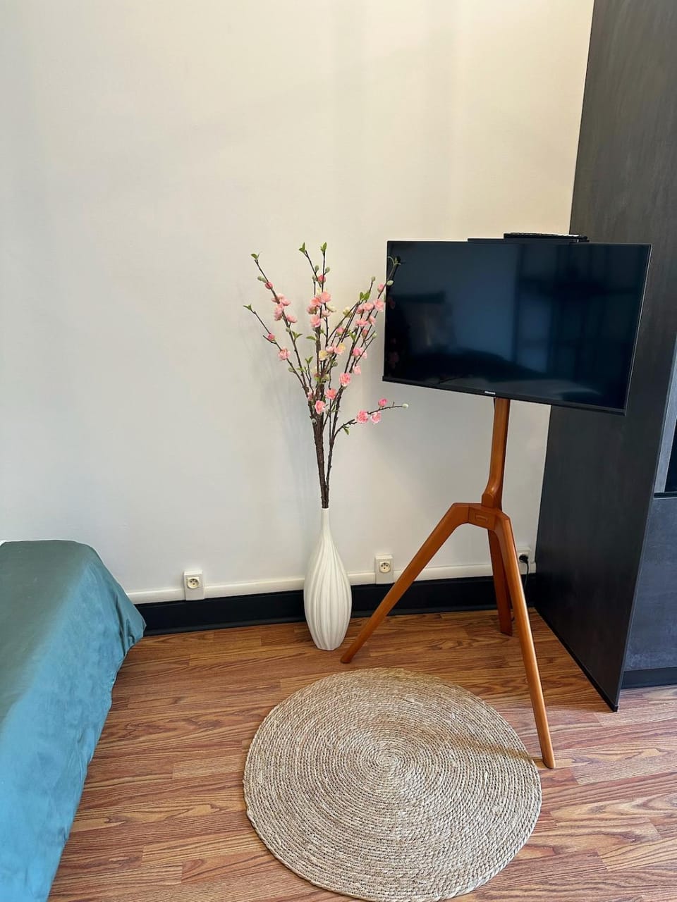 Studio cosy - Le cerisier Apartment in Valence