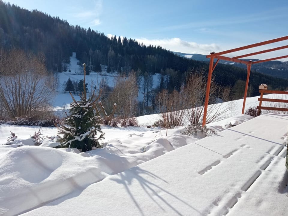 Winter, Mountain view