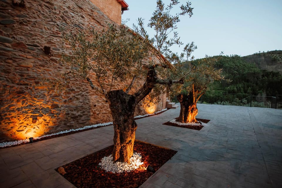 Garden, Garden view