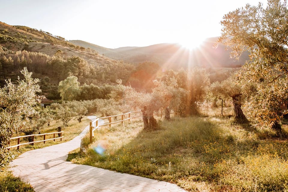 Off site, Natural landscape, Mountain view, Sunset