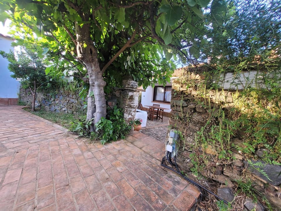 El Corral de la Higuera House in Andalusia