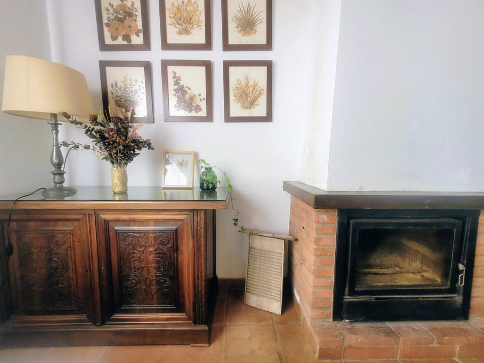 fireplace