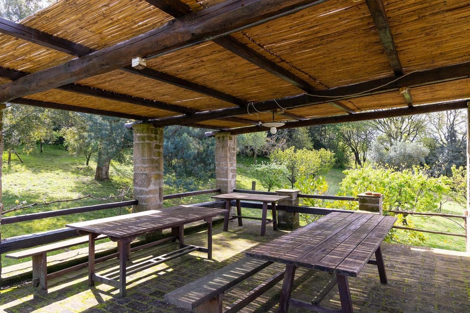 Patio, Garden, Dining area, Garden view