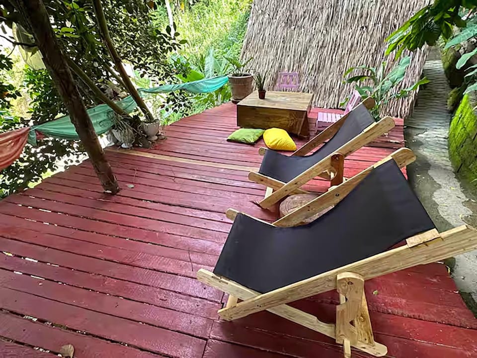 Garden view