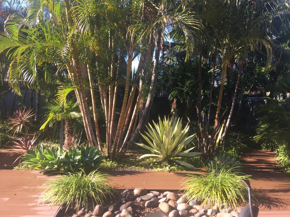 Garden view