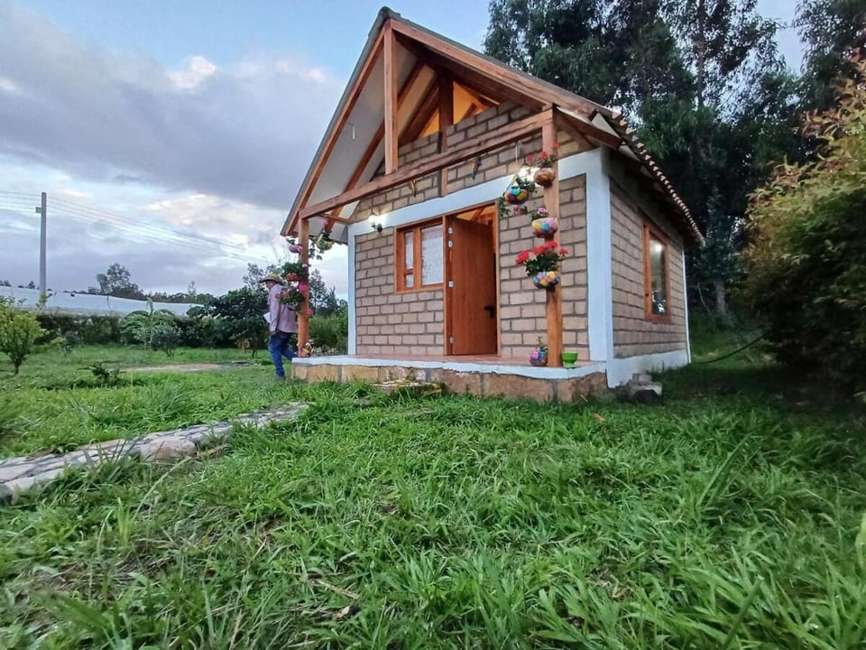 Natural landscape, Garden