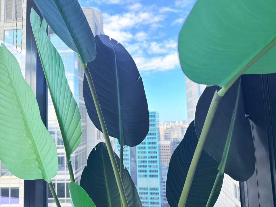 Sydney CBD New 2 bedroom Condo with amazing view Pool Gym 2 Apartment in Sydney