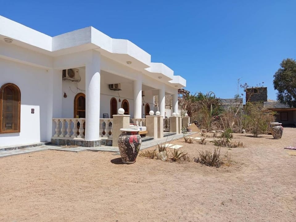 Property building, Day