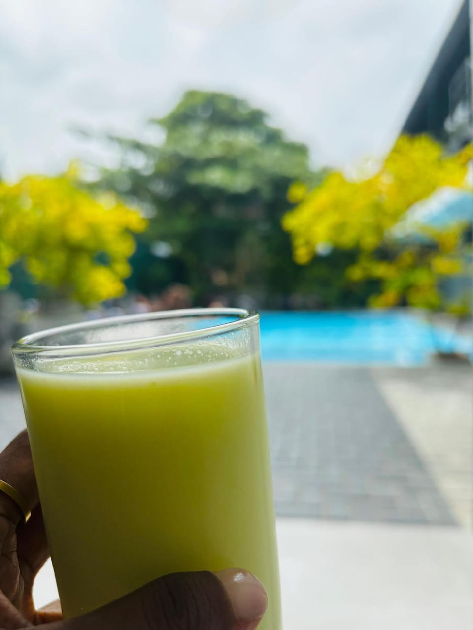 Day, Food and drinks, Pool view, Swimming pool, Drinks