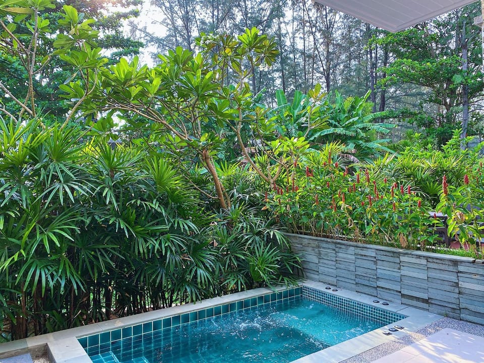 Garden, Swimming pool