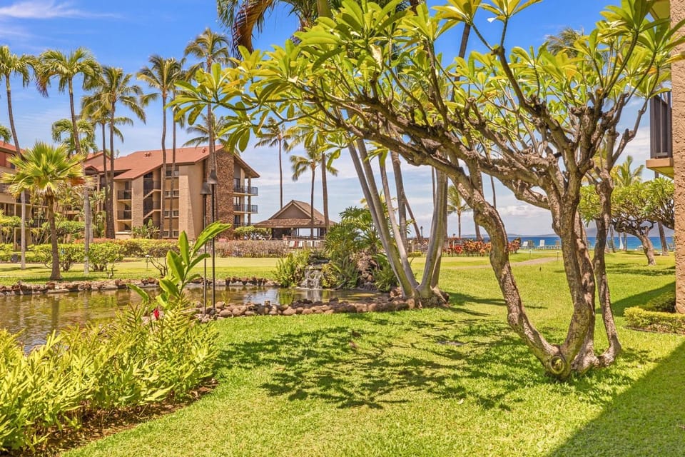 Papakea G101 1Bed 1Bath New Remodel condo Apartment in Kaanapali