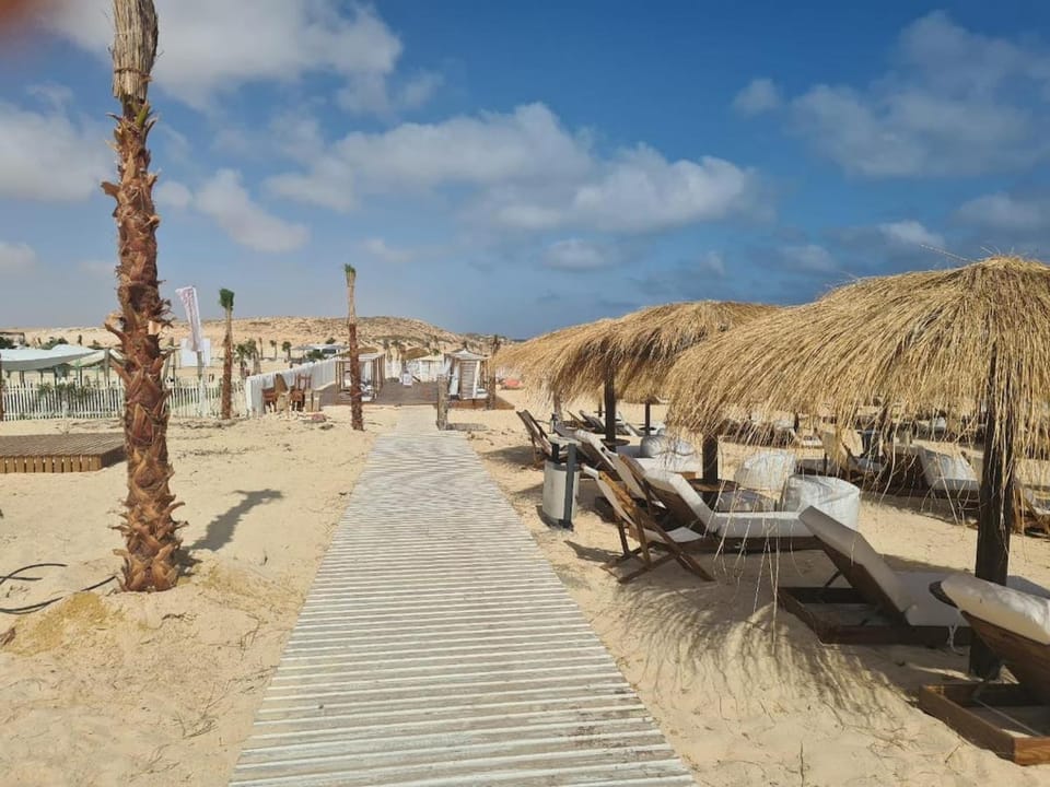 Day, Natural landscape, sunbed