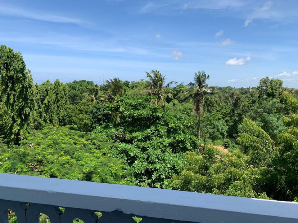 Natural landscape, Garden, View (from property/room), Balcony/Terrace, Garden view
