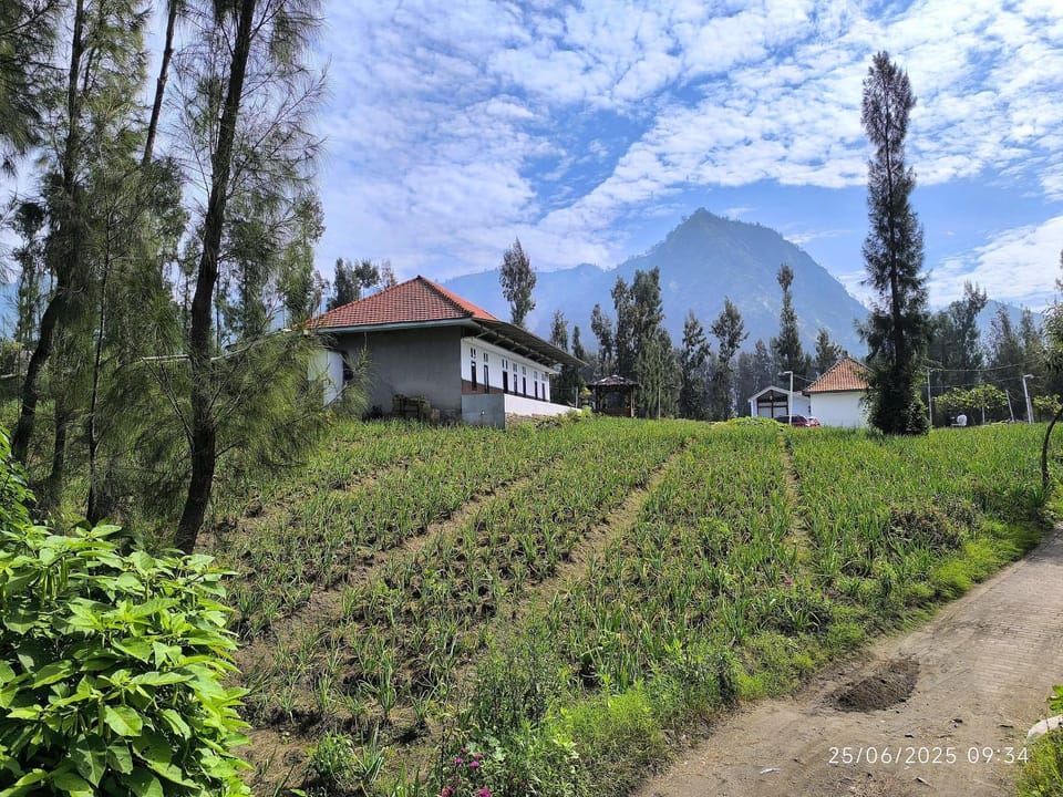 Mountain view