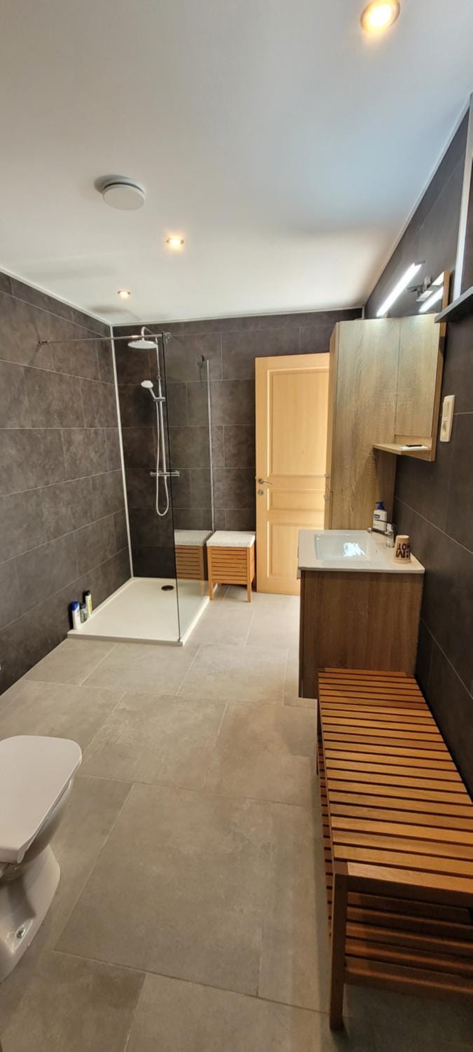 Shower, Toilet, Bathroom, towels