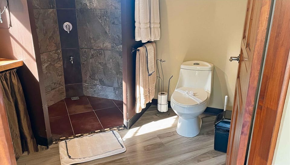 Shower, Toilet, Bathroom, towels