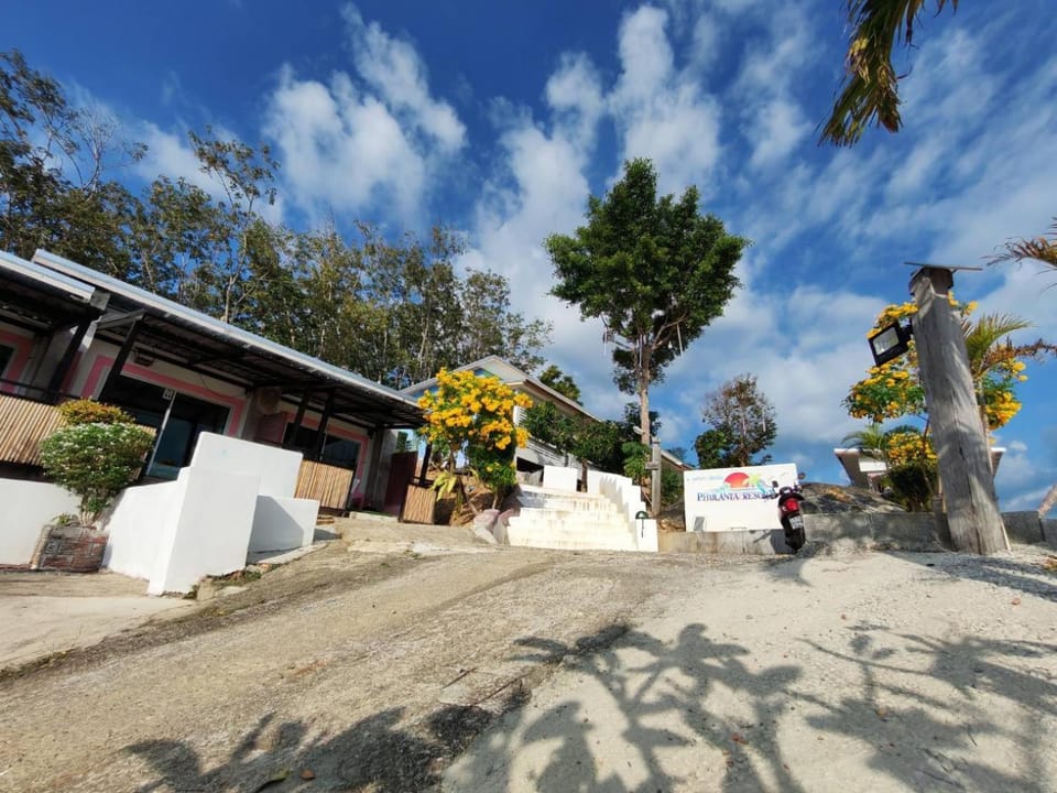 Property building, Day