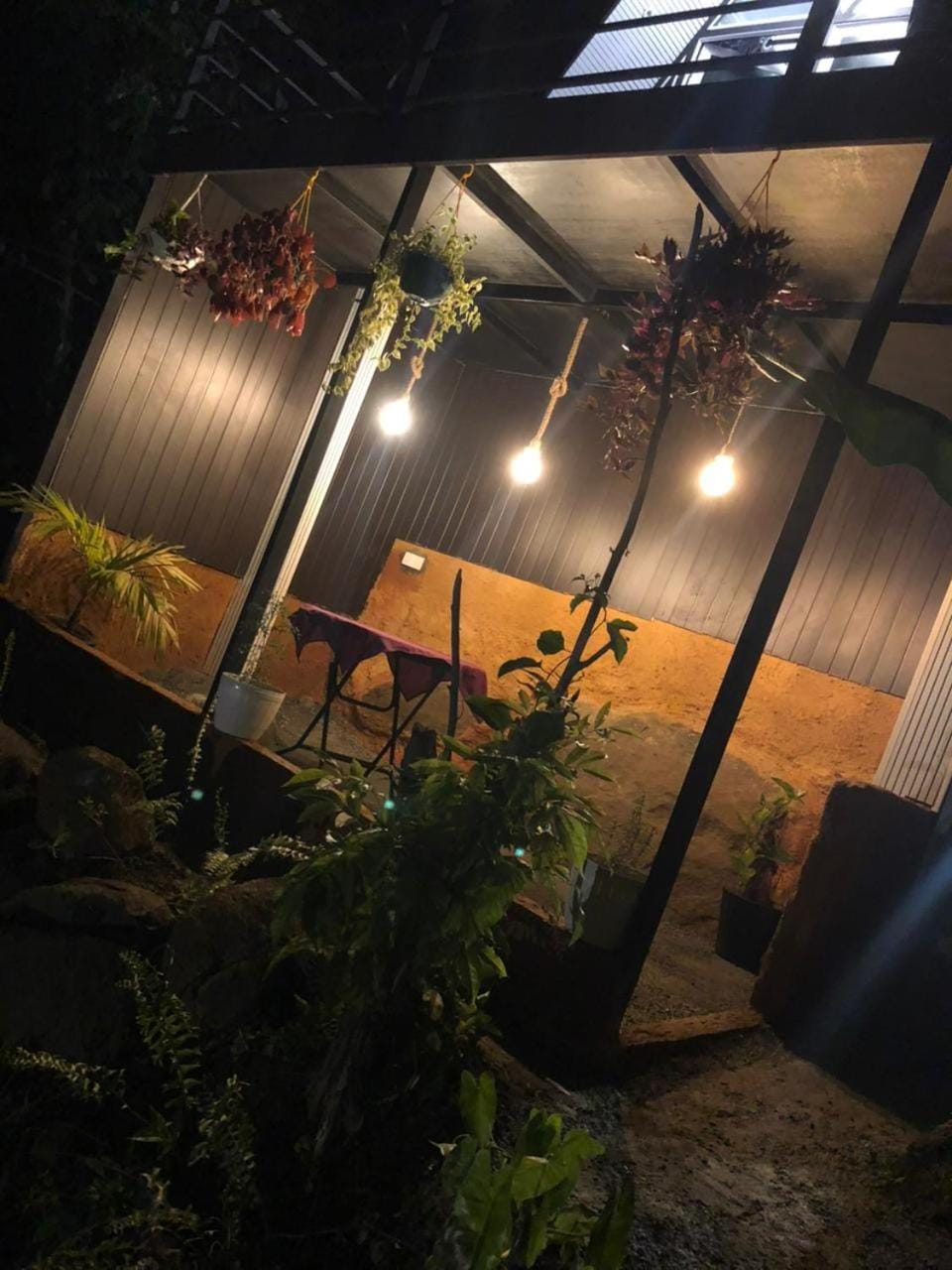 Night, Garden view