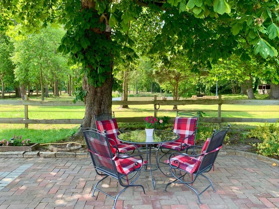Natural landscape, Garden, Seating area, Garden view
