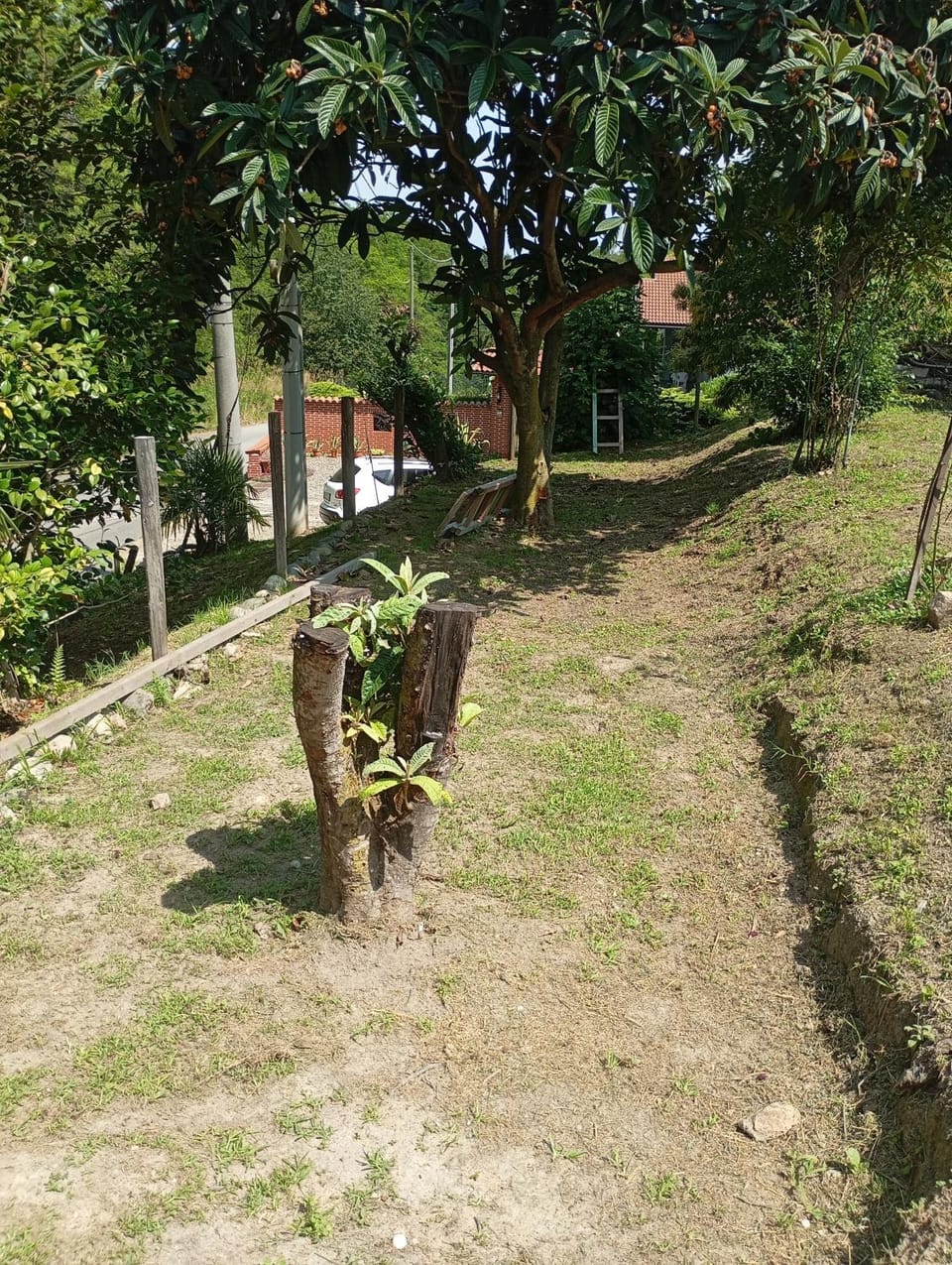 Rive rosse Bed and Breakfast in Piedmont