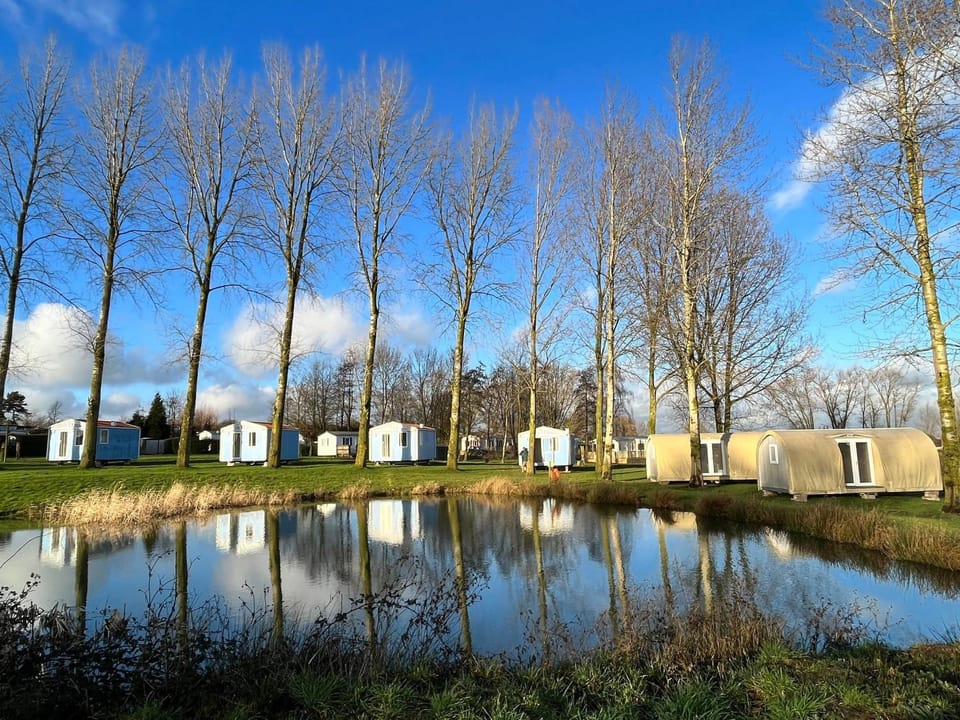 Lake view