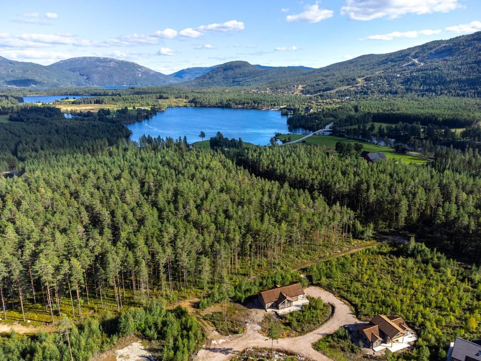 Neighbourhood, Natural landscape, Bird's eye view
