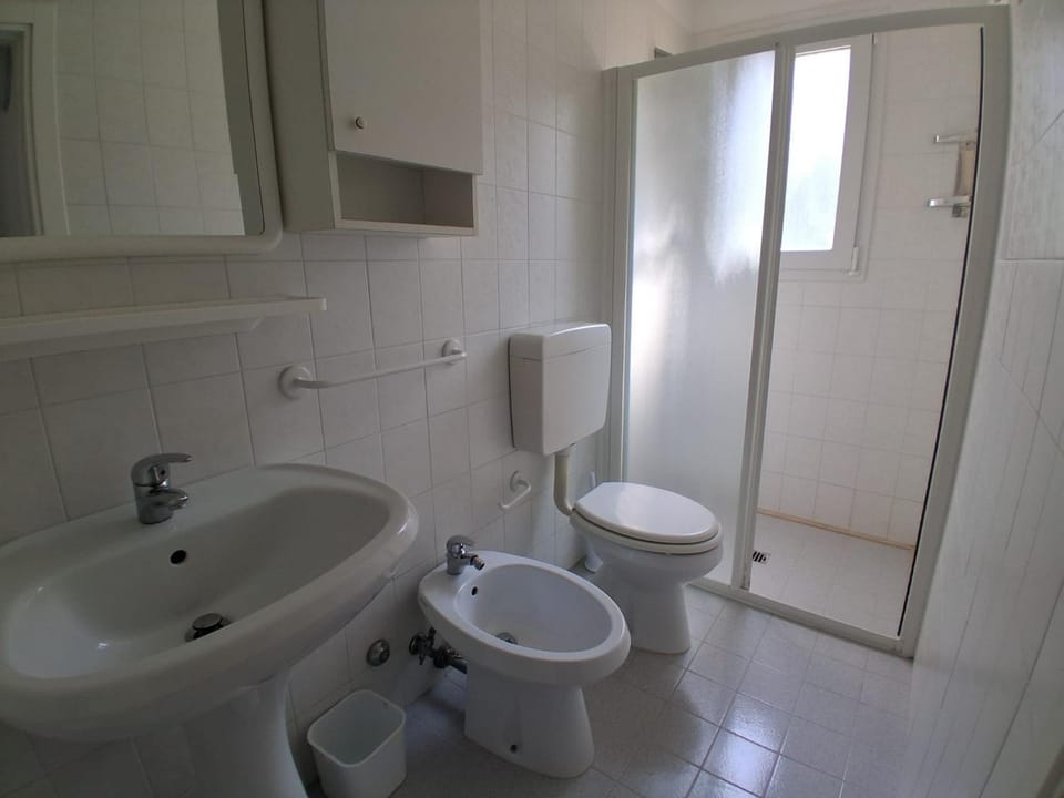 Shower, Toilet, Bathroom, bidet