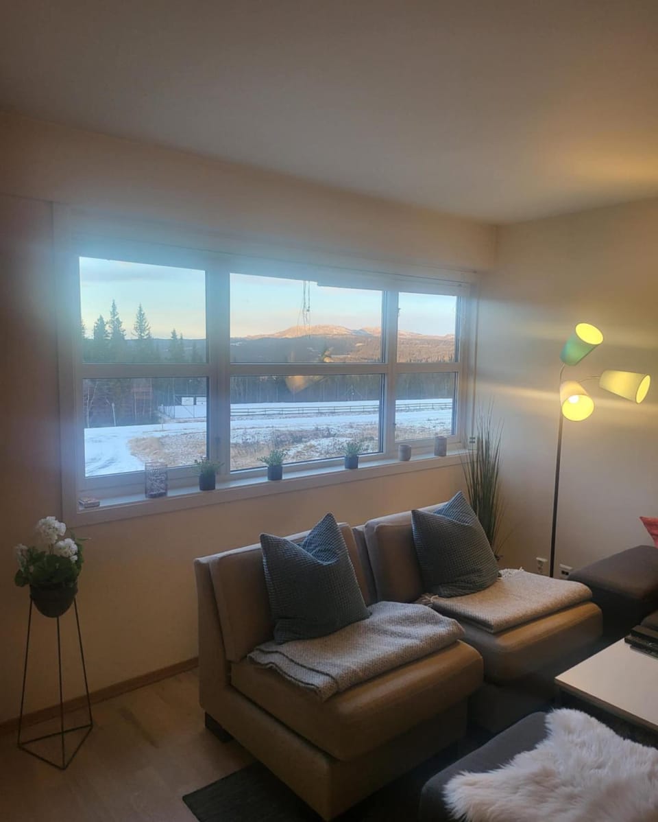 Synnseter, Synnfjellet, Fjellstuguvegen 38, 2880 Nord Torpa Apartment in Viken, Norway