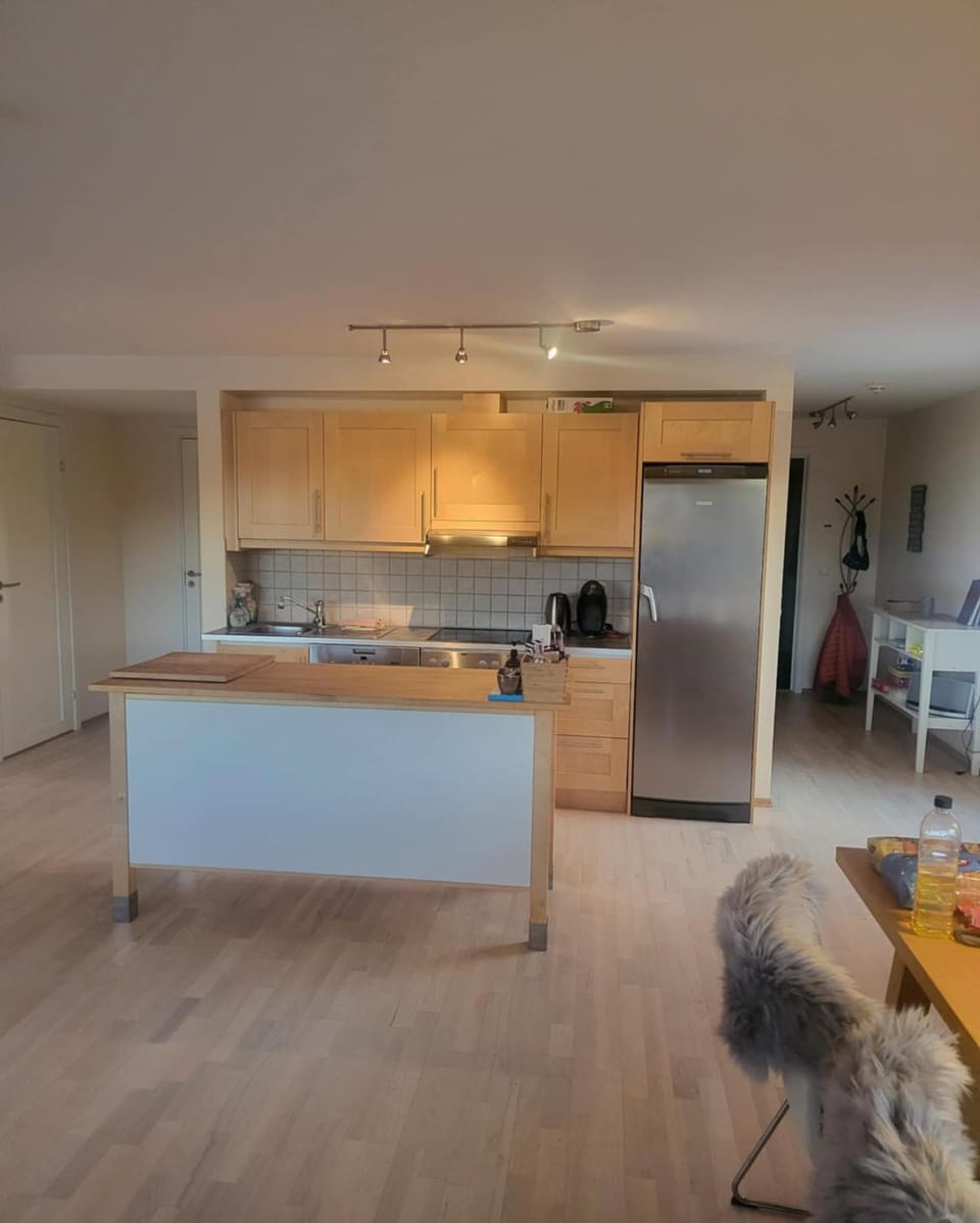 Synnseter, Synnfjellet, Fjellstuguvegen 38, 2880 Nord Torpa Apartment in Viken, Norway