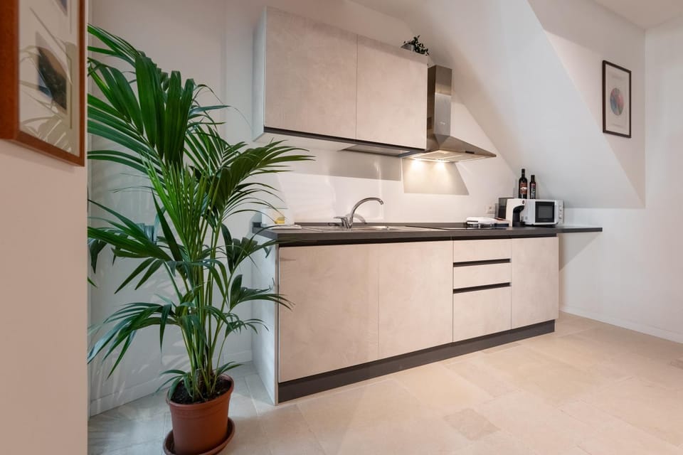 Coffee/tea facilities, Kitchen or kitchenette, minibar, stove