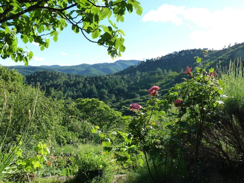 Mas Belavista - 2 bedrooms, kitchen, terrace, view House in Occitanie