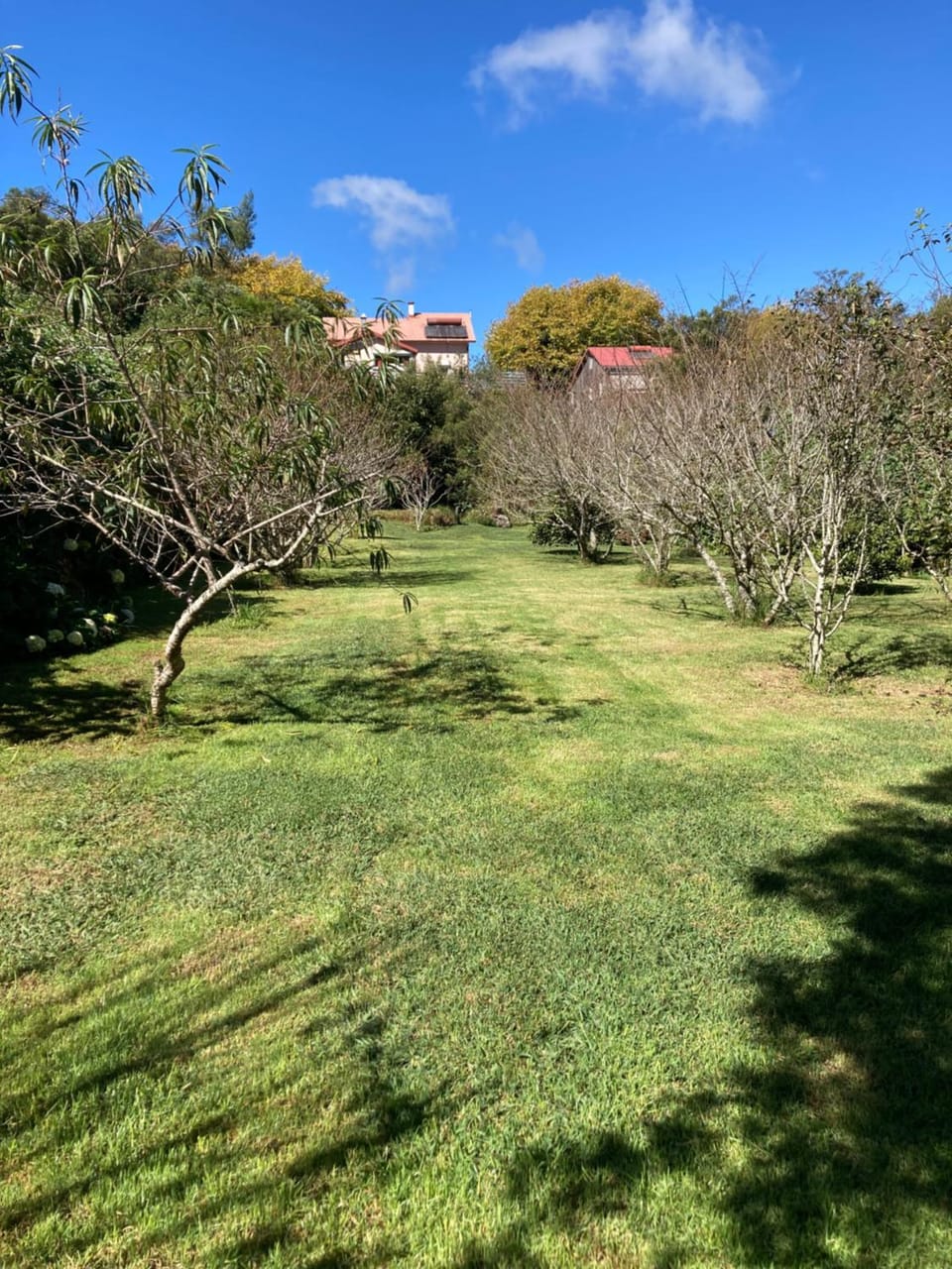 Spring, Day, Garden