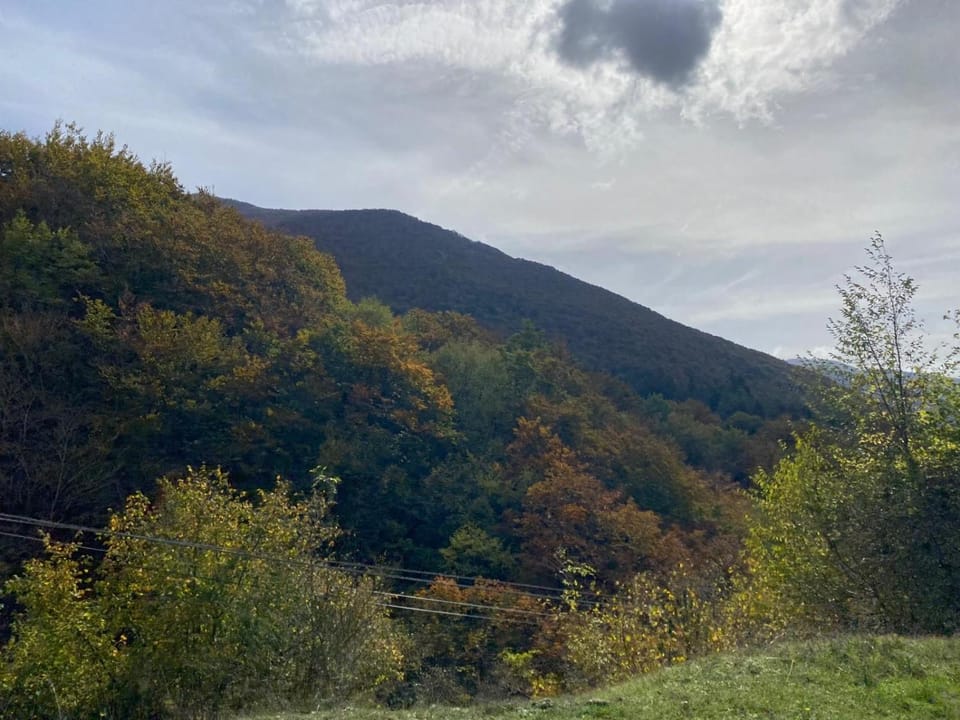 Mountain view