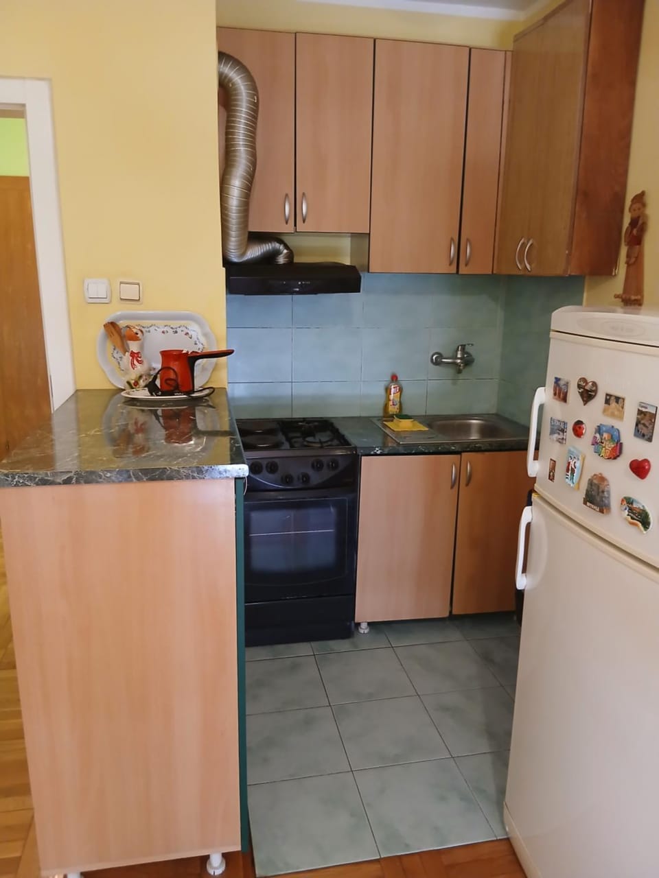 Kitchen or kitchenette, oven, pet friendly, stove