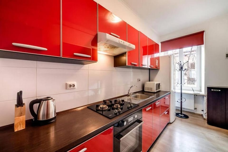 Апартаменти для сім'ї з видом на Оперний театр Apartment in Lviv