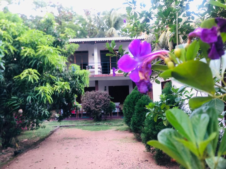 Sigiriya Mirror wall Guest house Bed and Breakfast in Dambulla