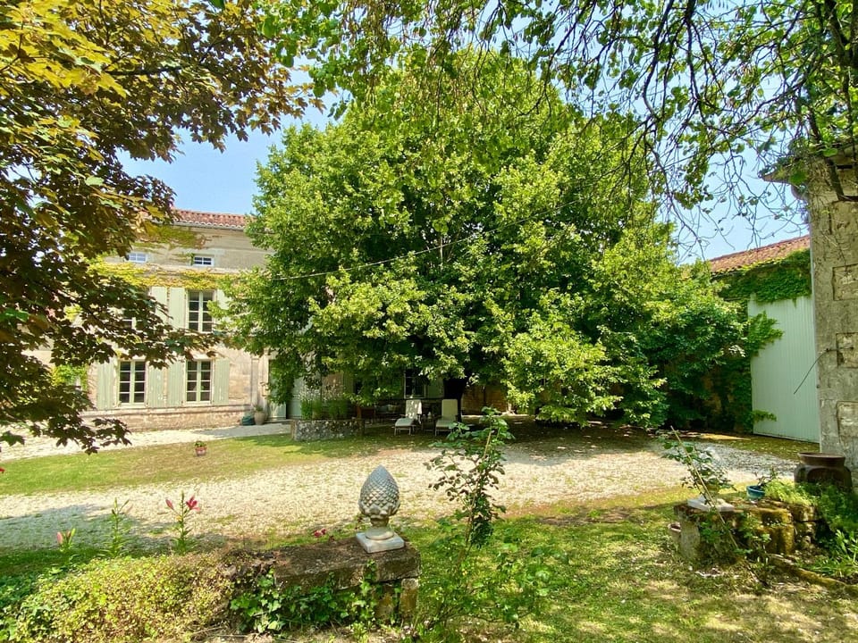 Property building, Garden view