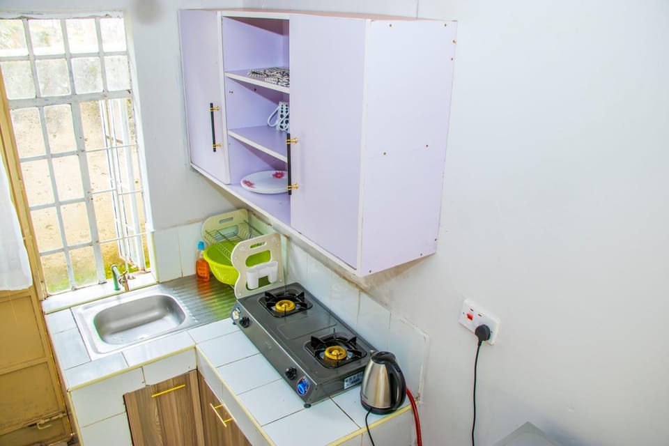 Modern favour TWO BEDROOM Apartments Apartment in Uganda